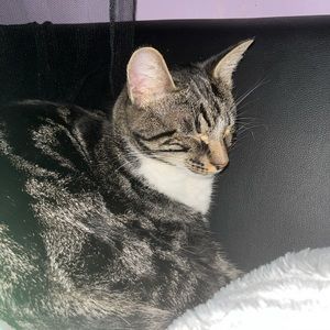 Meet your Posher, Kylee